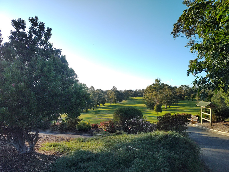 Contact Traf Golf Club