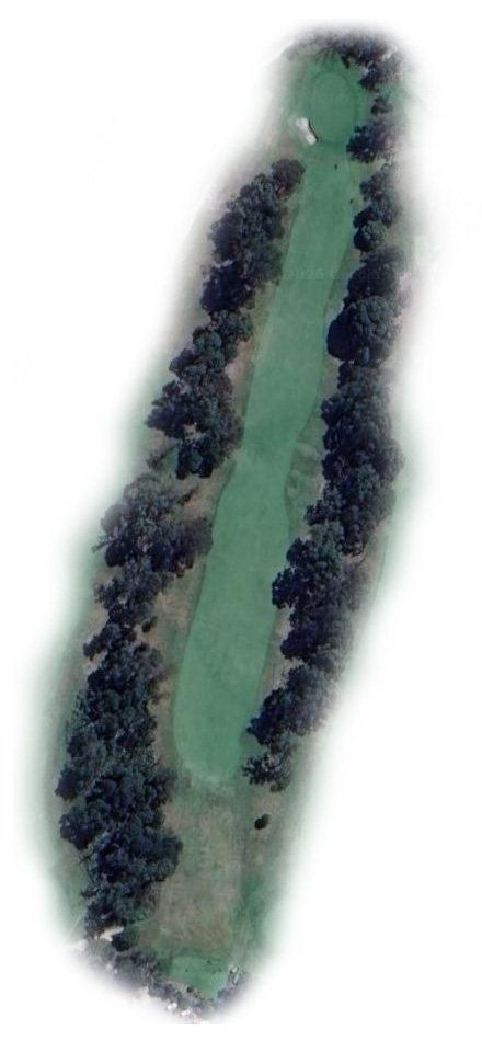 Hole 1 Map