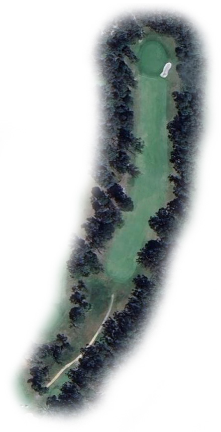 Hole 3 Map
