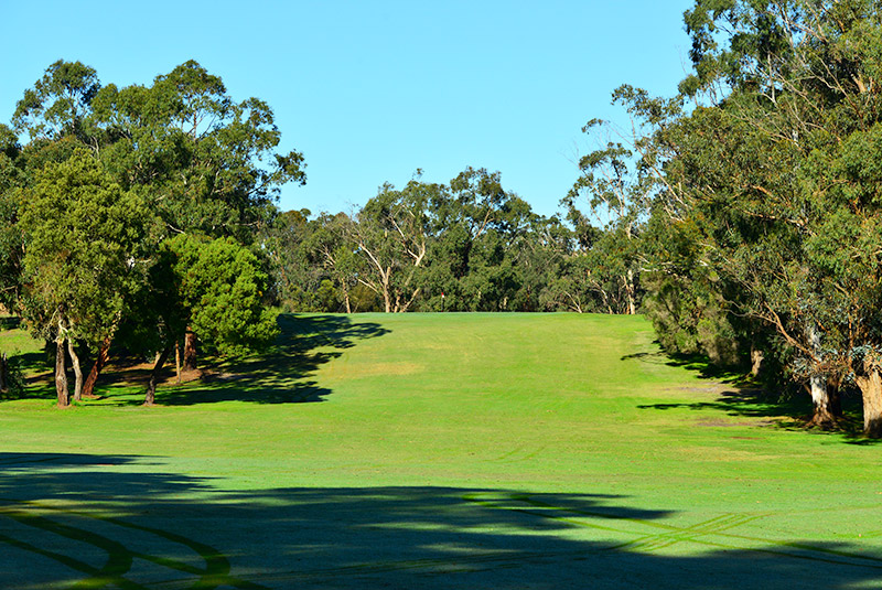 Heavy rough on the right of the fairway
