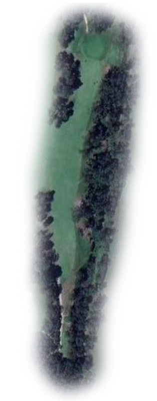 Hole 4 Map