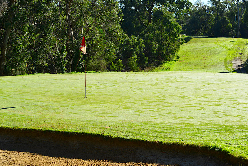 The 5th green