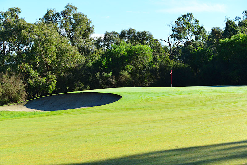 Par 5 sixth green