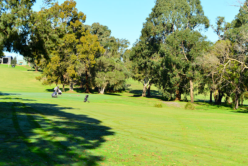 7th hole fairway