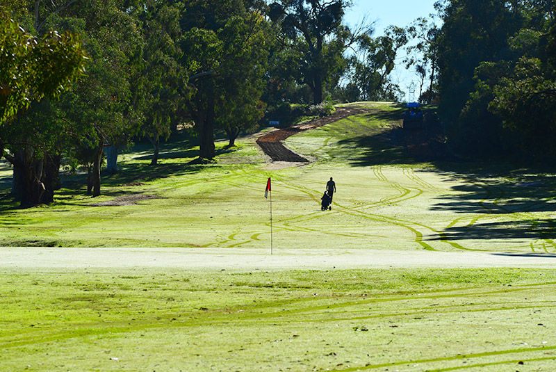 7th hole green