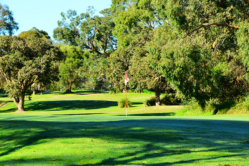 8th hole green
