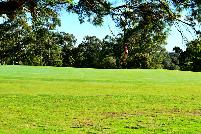 Avoid the greenside bunkers