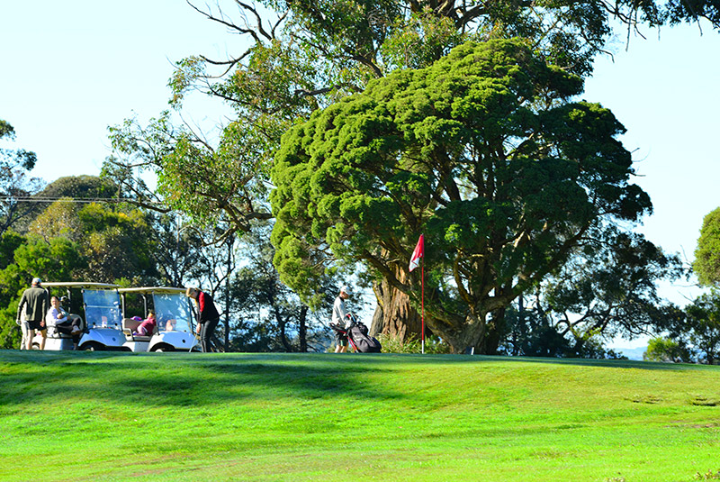 13th hole green