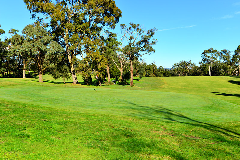 Par 5 14th green