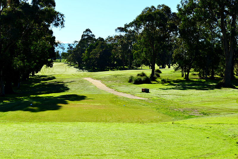 Par 5 14th tee shot