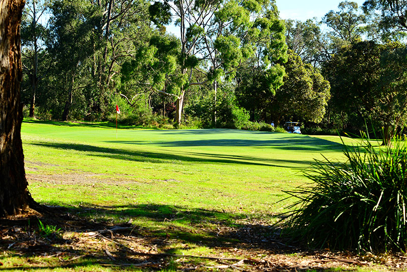 15th hole green
