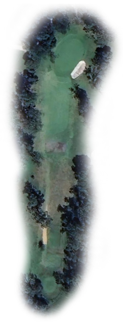 Hole 15 Map