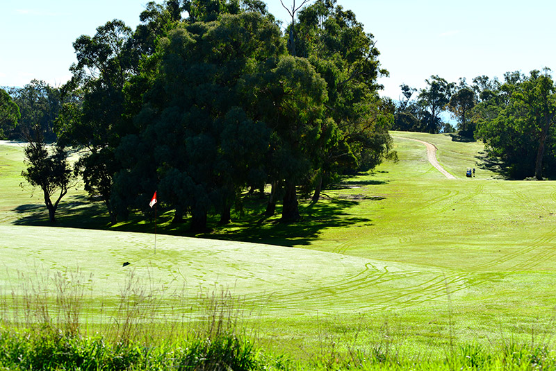 The 16th green