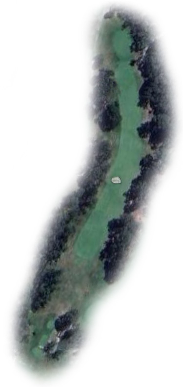 Hole 17 Map